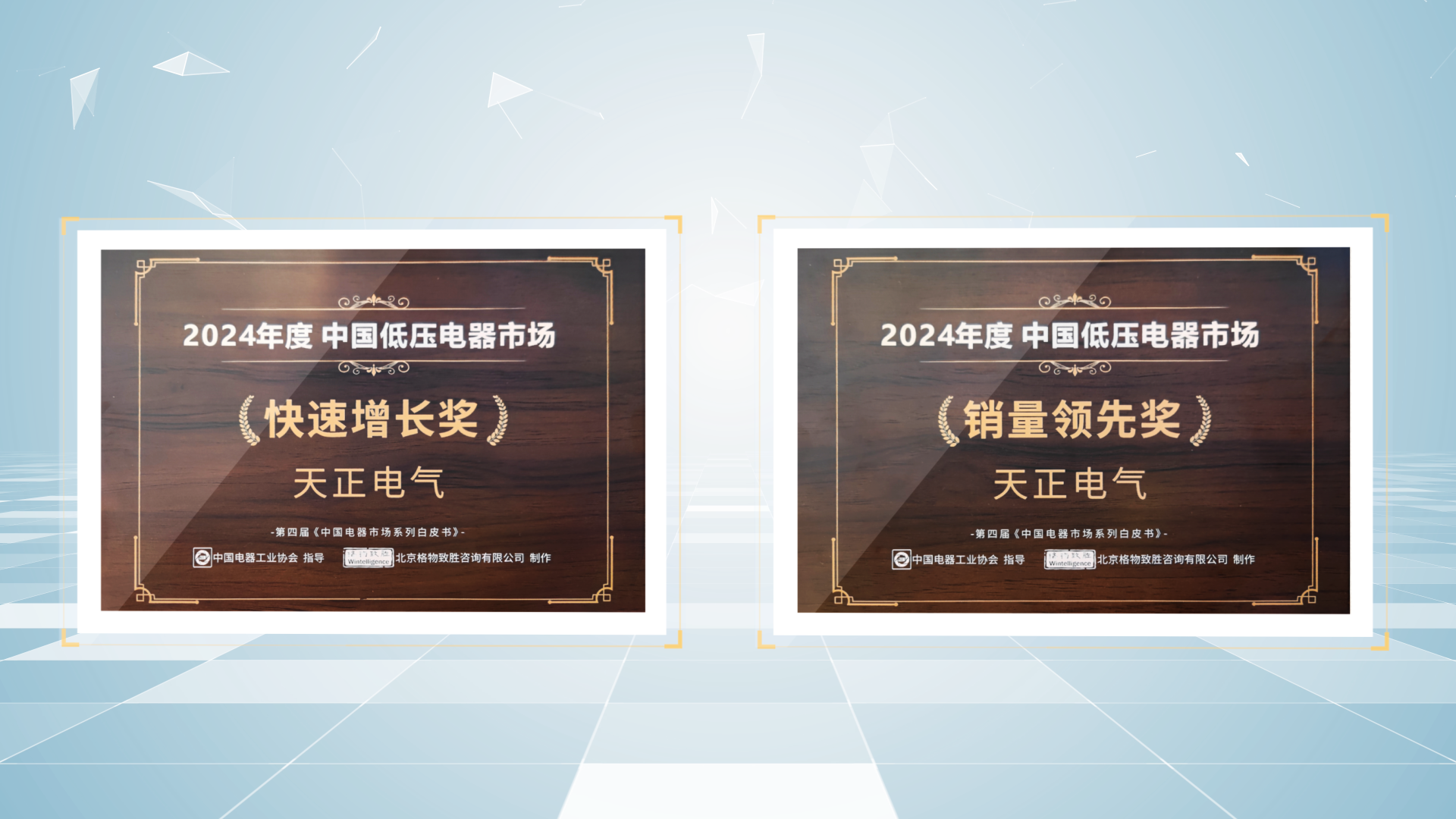 销量领先、快速增长丨pg电子站荣膺2项行业年度大奖